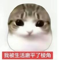 猫图